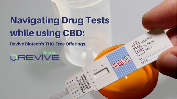 Navigating Drug Tests while using CBD: Revive Biotech's THC-Free Offerings